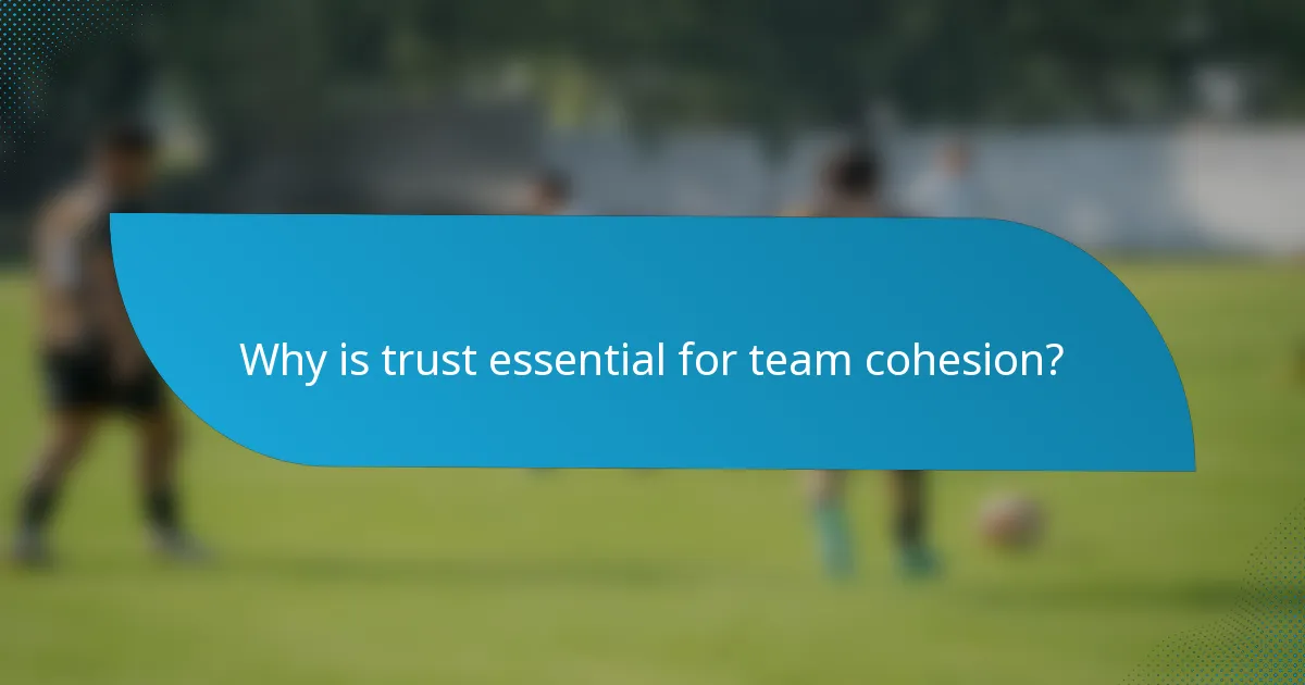 Why is trust essential for team cohesion?
